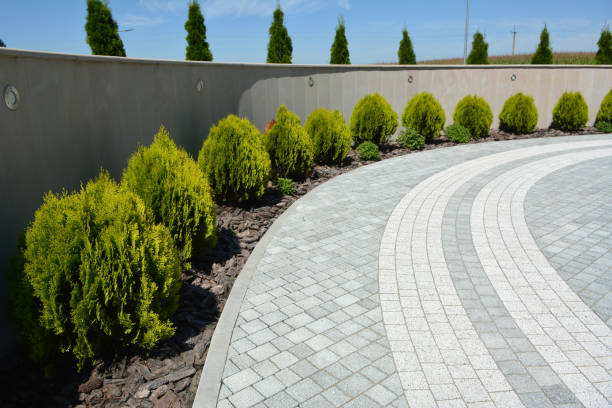 Reasons to Select Us for Your Driveway Paving Requirements in San Saba, TX